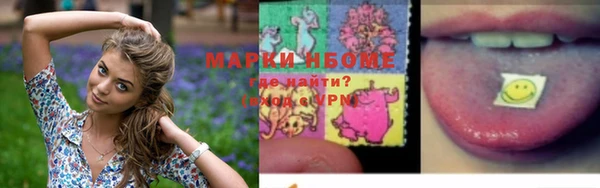 гидропоника Краснослободск