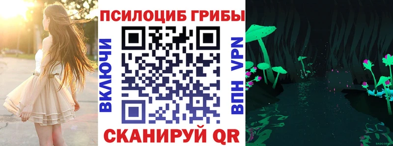 Псилоцибиновые грибы мицелий Купить закладки Химки